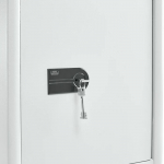 Trezor Burg Wächter DualSafe 445 K